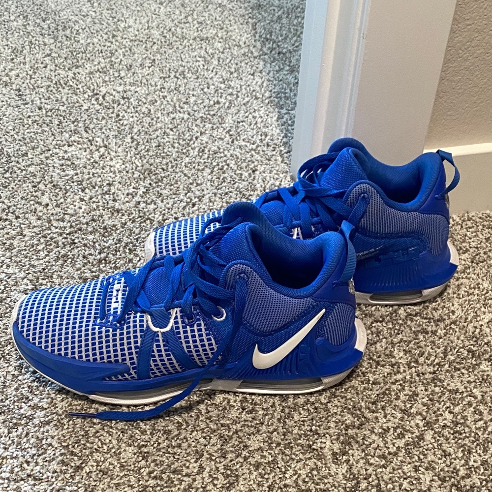 Nike Royal Blue and White Basketball Shoes